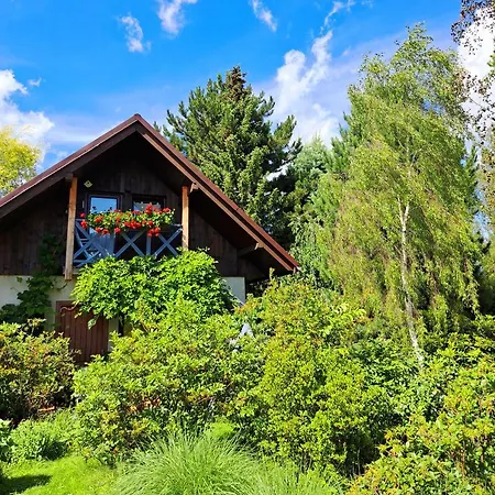 Apartamento Droździkówka *