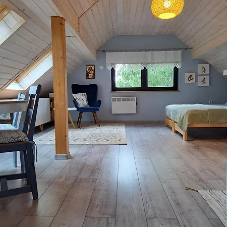 Апартаменты Drozdzikowka