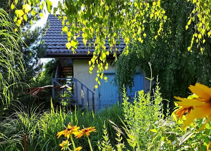 דירה Drozdzikowka