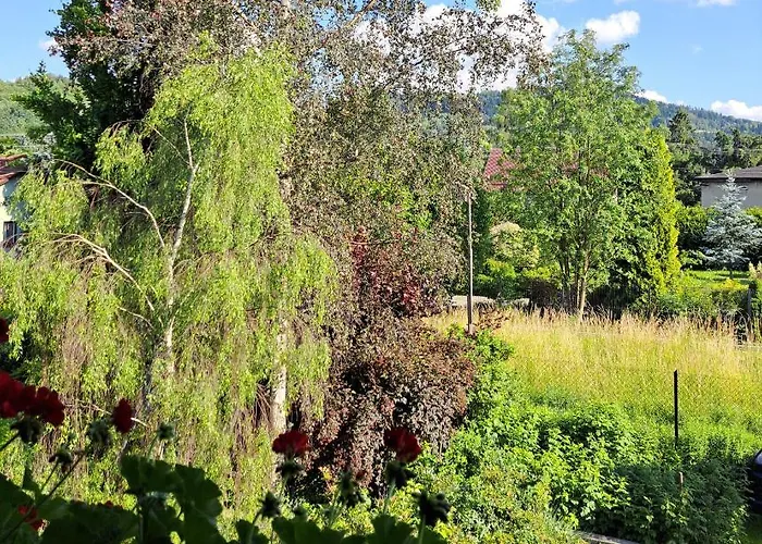 דירה Drozdzikowka *