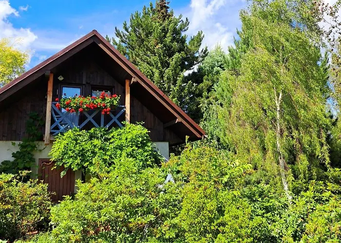 דירה Drozdzikowka *