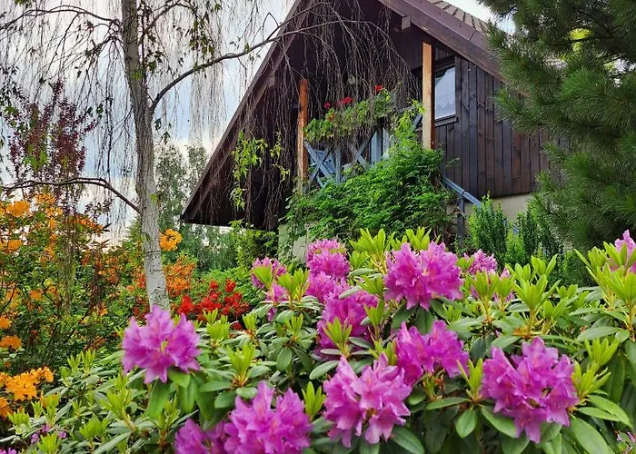 דירה Drozdzikowka Żywiec